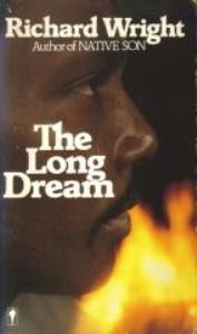Libro: THE LONG DREAM